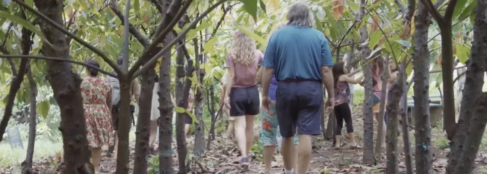 Kauai chocolate farm hawaii