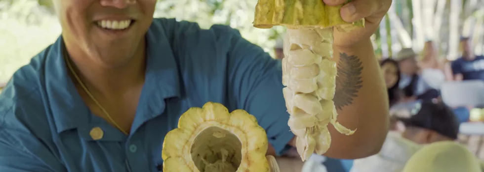 Learn about chocolate kauai