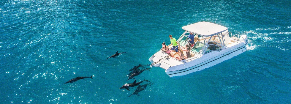 Kauai-dolphin-boat-tour