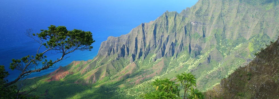 Helicopter tours on kokee lookout