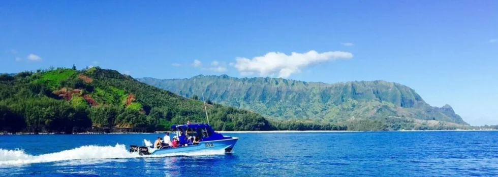 Napali coast hanalei view