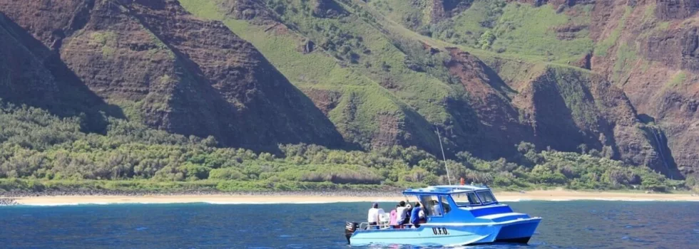 Napali coast hanalei2