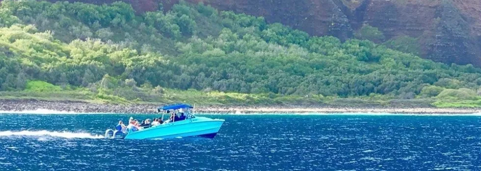 Best boat tour kauai