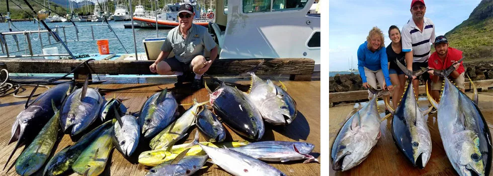 Ahi tuna fishing kauai
