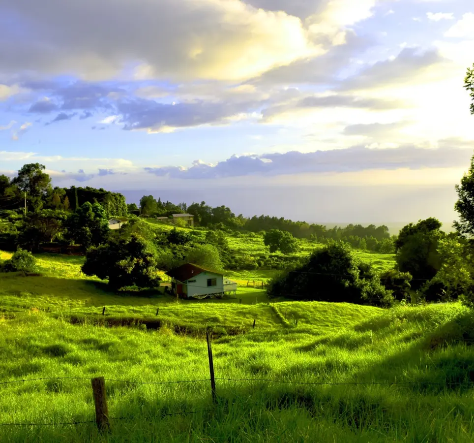Haleakala Sunrise or Sunset Tour