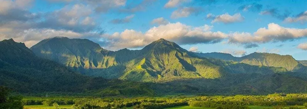 Kauai hanalei valley mountain range