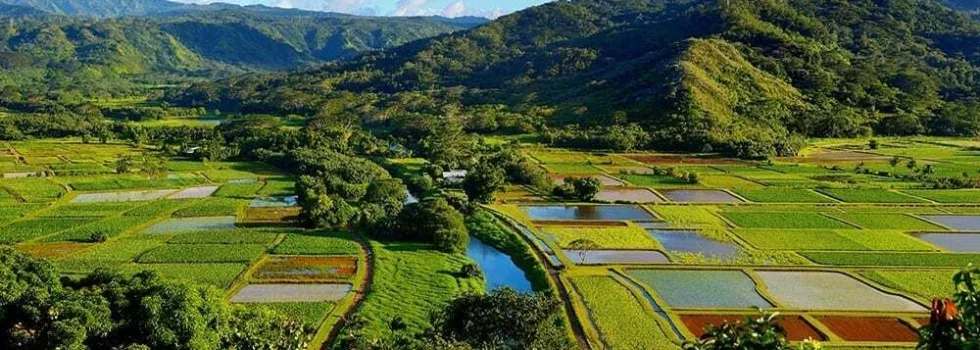 Kauai hanaleivalley2