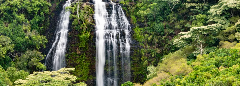 Kauai waterfall tour