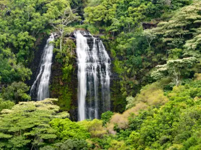 Kauai Movie Sightseeing Tour: Kauai waterfall tour