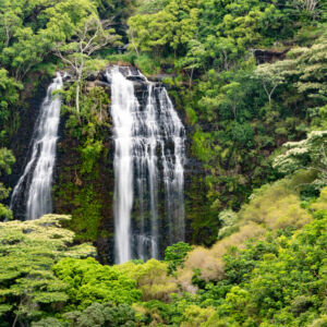 Kauai Movie Sightseeing Tour