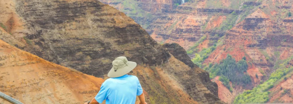 Best waimea canyon tour kauai