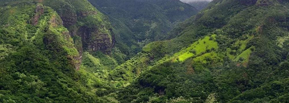 Kauai hanapepe valley tour