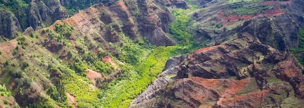 Kauai waimea canyon hawaii tour