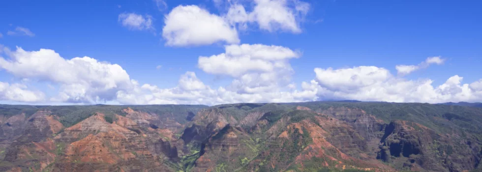 Waimea canyon view tour
