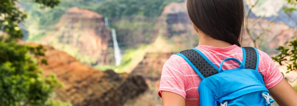 Waimea canyon waterfall tour