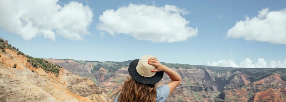 Waimean canyon lookout
