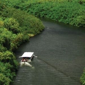Wailua River and Waimea Canyon Tour