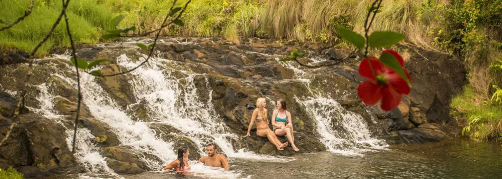 Horse ride waterfall swim kauai