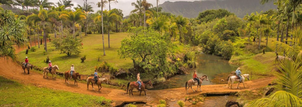Mountain horseback ride kauai