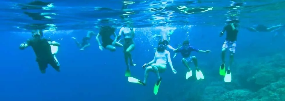 Snorkeling captain cook monument