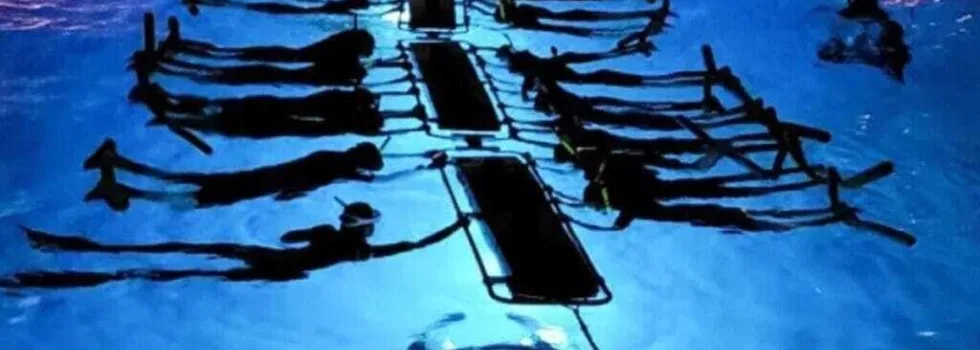 Keauhou bay manta snorkel