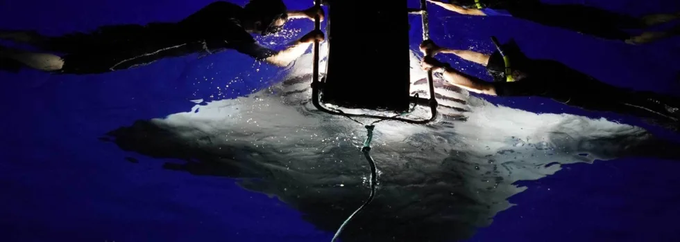 Manta tour from keauhou bay