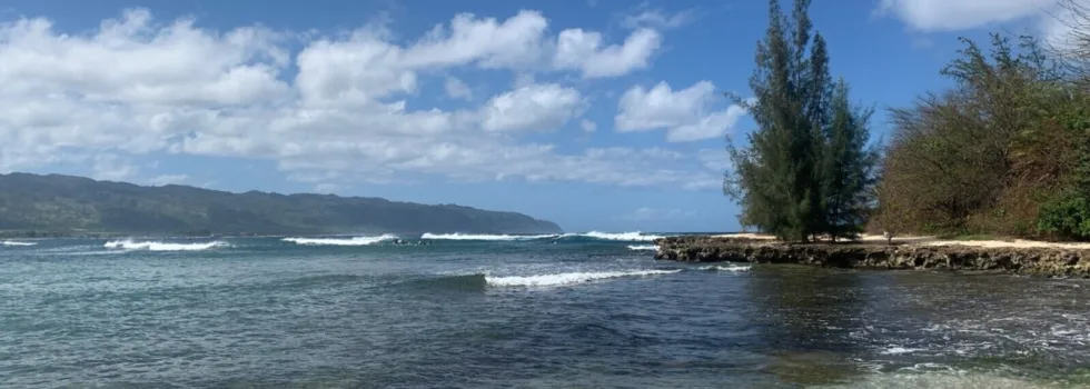 North shore beach tour