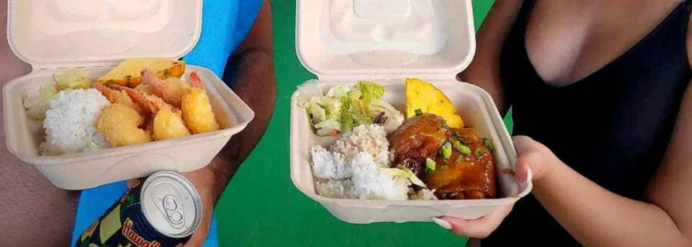 Plate lunch served on north shore tour