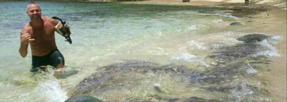 North shore sightseeing turtle snorkel