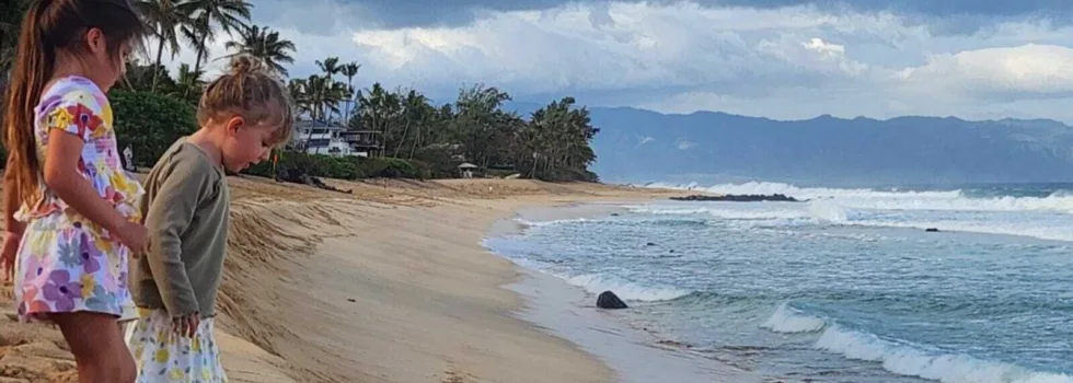 Kids at pipeline beach oahu