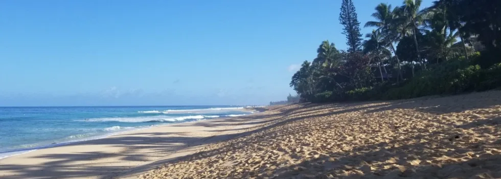 Ehukai beach