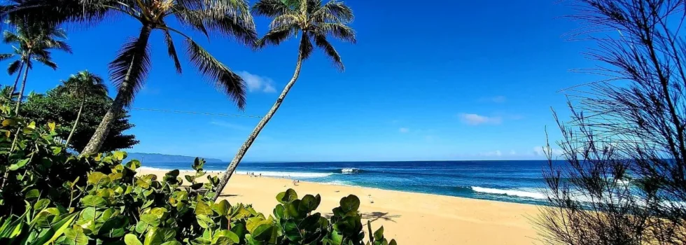Visit pipeline from waikiki tour