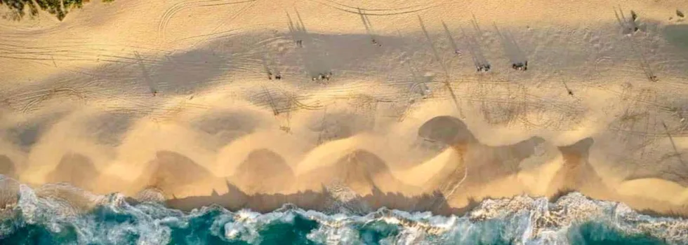 Pipeline beach tour from waikiki