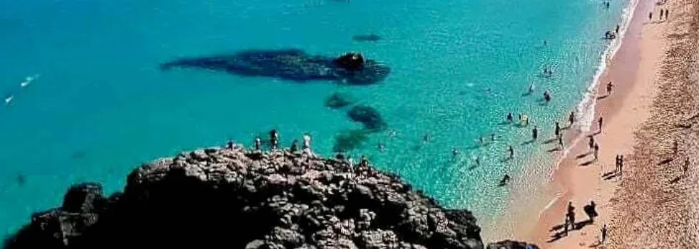 Waimea bay tour from waikiki