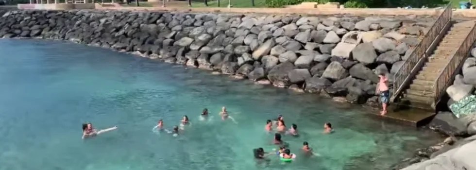 Swim at kakaako waterfront tour