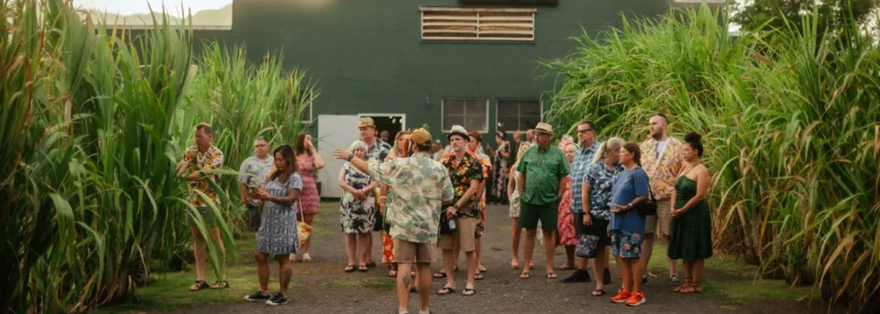 Sugarcane field rum tour