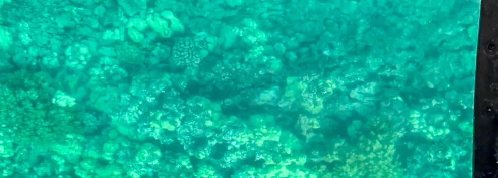 Looking through glass bottom boat