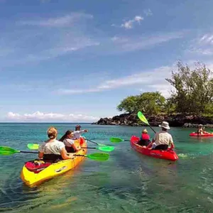 Kohala Coast Kayak & Snorkel Tour