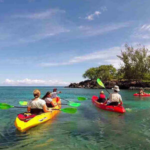 Kohala Coast Kayak & Snorkel Tour