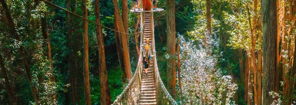 Ziplining hawaii hapuna