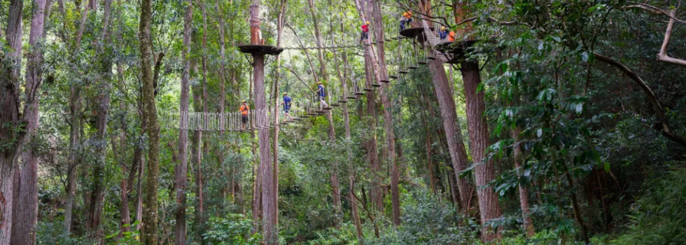 Zipline closest to kona