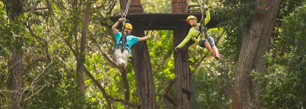 Zipline near mauna kea