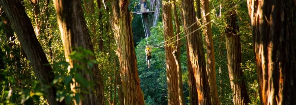 Zipline near westin hapuna