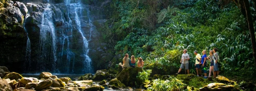 Waterfall hike near kohala resort hawaii