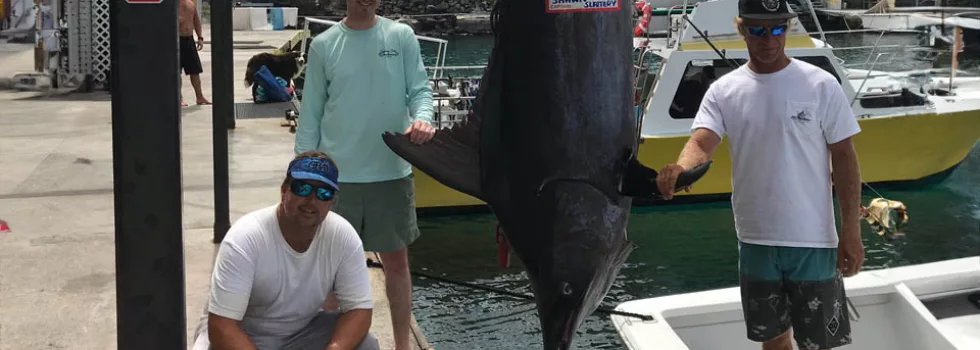 Weighing marlin fishing kona