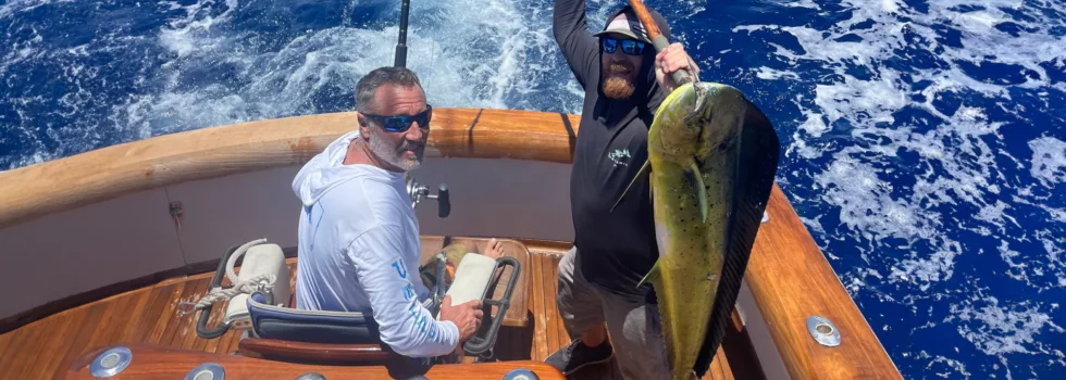 Man gaffing mahi mahi kona