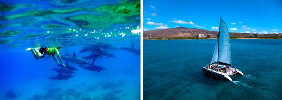 Koolina Dolphin Catamaran Snorkel