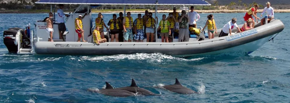 Koolina Zodiac Dolphin Swim