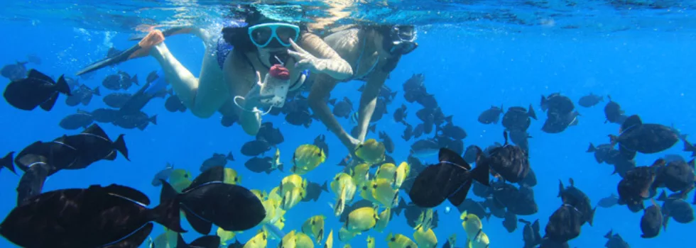 Koolina Snorkel Spots