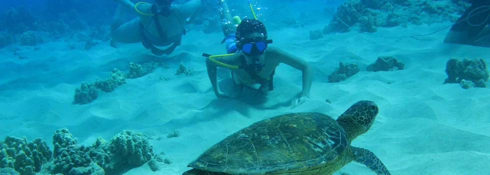 Koolina kids snuba hawaii